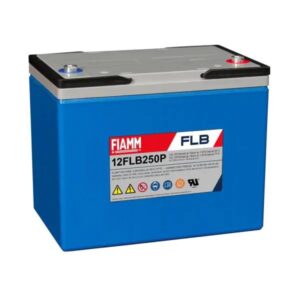 12FLB250P